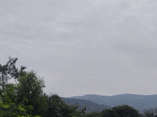 Rain alert again in Sawai Madhopur today | सवाई माधोपुर में आज फिर बारिश का अलर्ट: सर्द हवाओं से न्यूनतम तापमान में हुई गिरावट, पारा 16 डिग्री पर पहुंचा – Sawai Madhopur News Rain alert again in Sawai Madhopur today | सवाई माधोपुर में आज फिर बारिश का अलर्ट: सर्द हवाओं से न्यूनतम तापमान में हुई गिरावट, पारा 16 डिग्री पर पहुंचा – Sawai Madhopur News