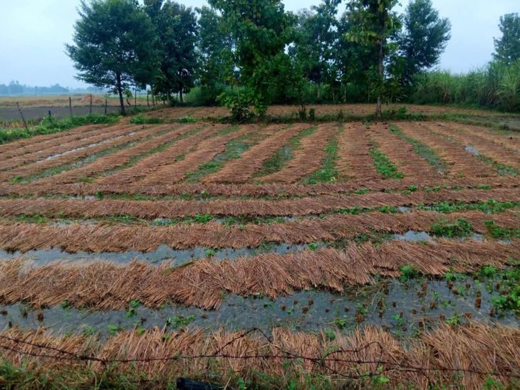 Continuous rain in Rudauli