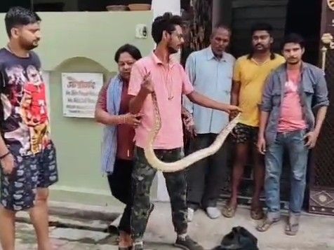 Python spotted in a colony street in Lucknow | सरोजनी नगर कॉलोनी की गली ...