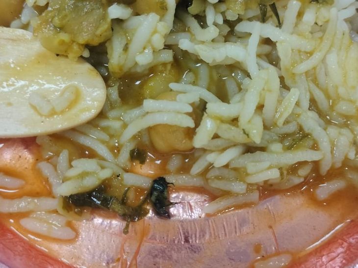 Worms found again in the chickpeas and rice in AIIMS canteen