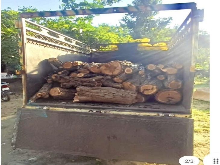 250 किलो अवैध इमारती लकड़ी पिकअप सहित जब्त:  कुराबड़ थाना पुलिस की कार्रवाई, पिकअप रास्ते में छोड़ भागा ड्राइवर – Udaipur News