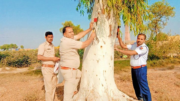 Retroradium reflectors installed on trees along winding roads ...