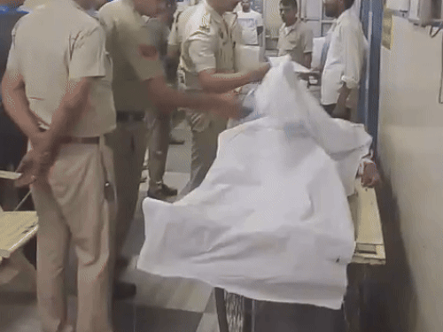 झज्जर में एक ही परिवार के 3 लोगों की मौत:रिश्तेदार के अंतिम संस्कार से दिल्ली लौट रहे थे, बेकाबू कार पेड़ से टकराई, 3 घायल- INA NEWS