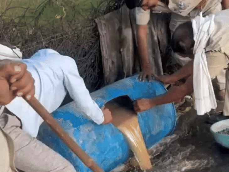 Excise department takes action in 4 districts of Rajasthan