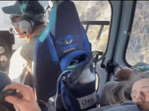 ऑस्ट्रियाई पायलट का 3700 मीटर ऊंचाई से रेस्क्यू:मनाली में पैराग्लाइडर क्रैश के बाद गंभीर घायल, एयर लिफ्ट कर चंडीगढ़ भेजा