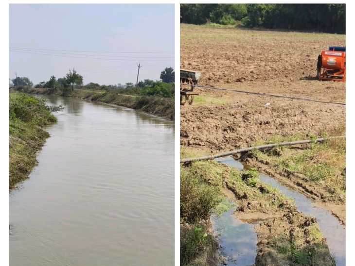 Due to excess water being released into canals in Harda, fields ...