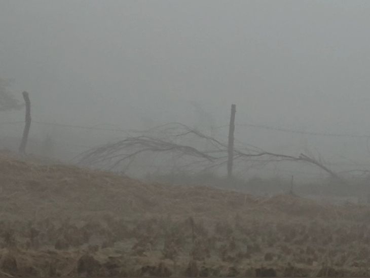 Dense fog in Gonda, visibility only 20-25 meters