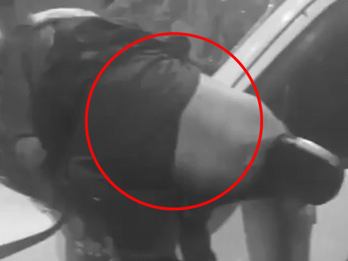 दिल्ली कार ब्लास्ट की 30 तस्वीरें:9 मौतें, लोगों के शरीर के टुकड़े दूर जाकर गिरे; धमाके की चपेट में आई कारों के परखच्चे उड़े- INA NEWS