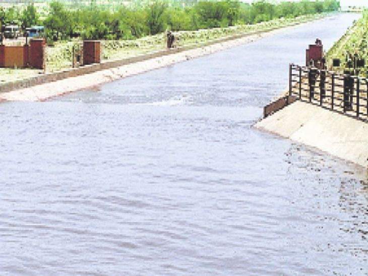 If the inflow does not increase, farming will be ruined. | आवक नहीं बढ़ी तो उजड़ेगी खेती: पंजाब से पानी बढ़ नहीं रहा, पीने के पानी का भार लगातार बढ़ रहा, नतीजा-खेती पर असर होगा – Bikaner News