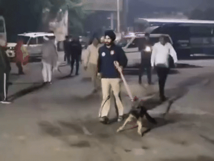 दिल्ली में ब्लास्ट के बाद फतेहाबाद पुलिस अलर्ट:सार्वजनिक स्थानों पर चलाएगी चेकिंग अभियान; पंजाब-राजस्थान बॉर्डर पर सख्ती बढ़ाई- INA NEWS