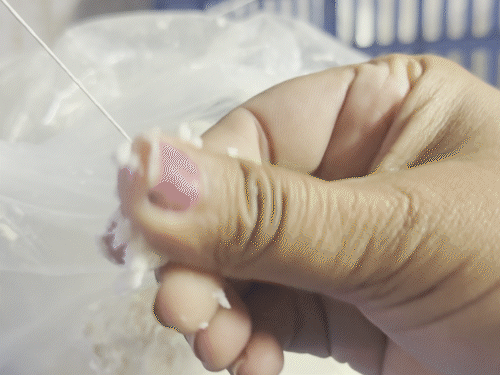 नकली पनीर लोगों को खिला रही थी सुरभि डेयरी:  गुजरात में 2 साल से रोज 200 किलो पनी बेच रही थी सूरत की मशहूर डेयरी – Gujarat News