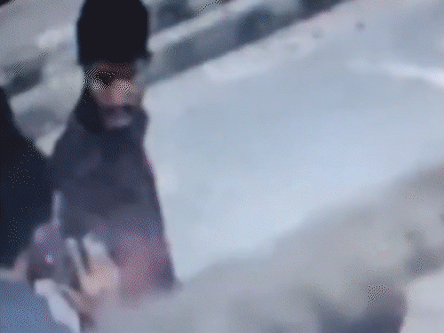 Delhi Car Blast; Terrorist Umar Nabi DNA Test | Connaught Palace | दिल्ली ब्लास्ट से पहले 5 जगह दिखा था आतंकी उमर;VIDEO: मस्जिद गया, कनॉट पैलेस घूमा; लाल किले के पास किया था इंतजार