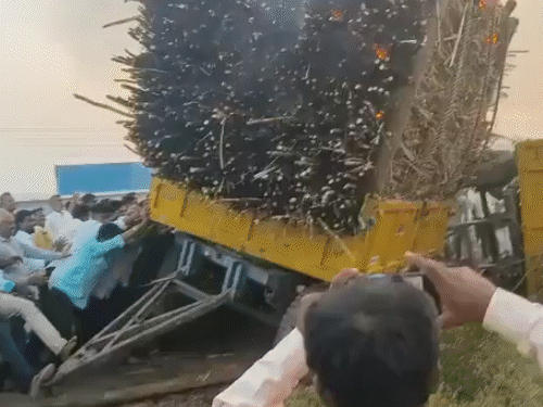 Karnataka Farmers Protest Violence Update; Sugarcane MSP Price | Bagalkote | कर्नाटक में गन्ना किसानों का आंदोलन हिंसक हुआ: 100 से ज्यादा ट्रैक्टर में आग लगाई; किसानों की मांग ₹3300 टन गन्ना का भाव नहीं चाहिए