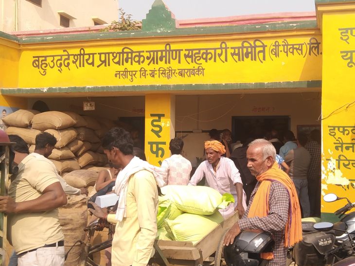 DAP distributed to farmers in Nasipur Mansara Committee | नसीपुर मंसारा ...