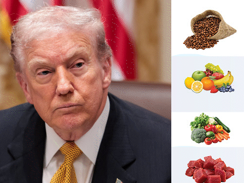 Trump lifts tariffs on beef, coffee, and fruit | ट्रम्प दो राज्यों में हार के बाद टैरिफ पर पलटे: बीफ-कॉफी से टैरिफ हटाया; अमेरिकियों का सलाना खर्च ₹8 लाख तक बढ़ने के बाद फैसला