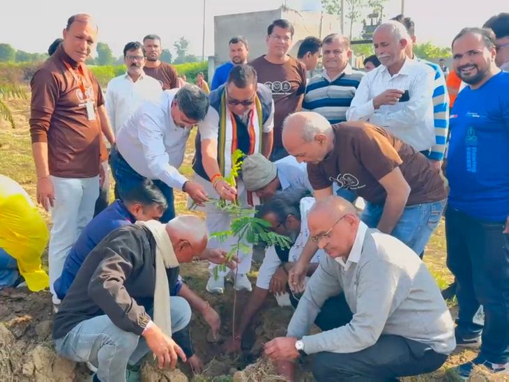 Heartfulness Sagwara: Aim to plant 10,000 trees Dungarpur Rajasthan | हार्टफुलनेस सागवाड़ा: 10 हजार पौधे लगाने का लक्ष्य: साढ़े 13 बीघा भूमि पर 3 हजार पौधे लग चुके – Dungarpur News