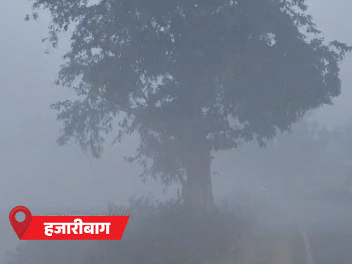 झारखंड में नवंबर में ही कड़ाके की ठंड:  मैक्लुस्कीगंज 6 डिग्री पर, 11 जिलों में शीतलहर का यलो अलर्ट, कल से राहत की उम्मीद – Ranchi News