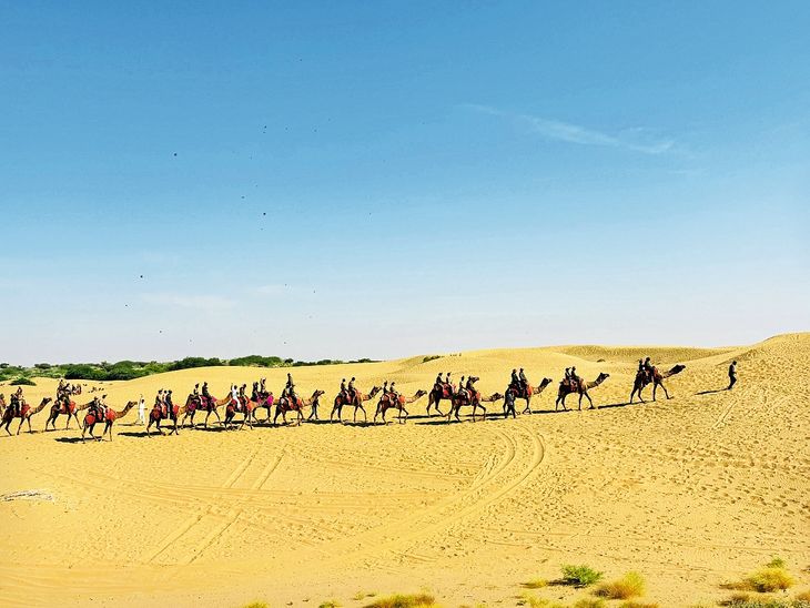 NCC cadets went on a camel safari on the dunes of Sam and saw the ...