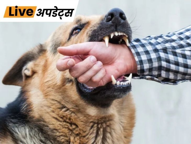 भास्कर अपडेट्स:कर्नाटक सरकार कुत्ता काटने से मरने वालों के परिवार को ₹5 लाख देगी, चोट-निशान पर ₹5 हजार मुआवजा- INA NEWS