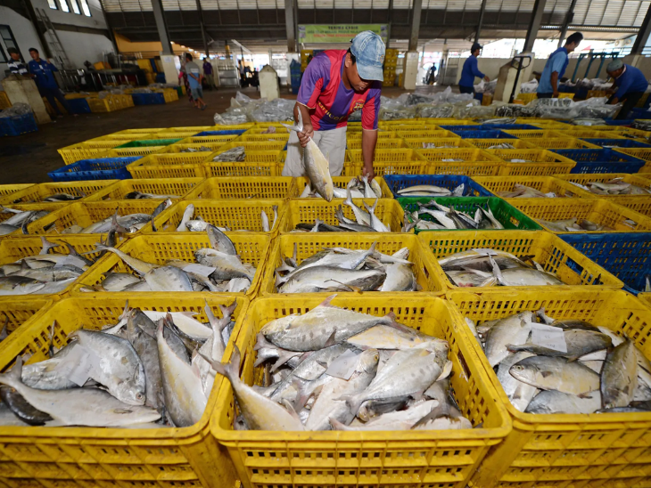 चीन के जापानी सीफूड पर बैन से भारत को फायदा:दोनों देशों में विवाद से इंडियन कंपनियों के शेयर बढ़ें