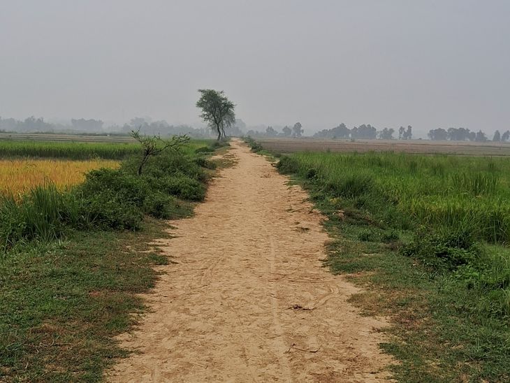 Prayagraj's Sonbarsa-Bansagar canal road is in a dilapidated condition ...