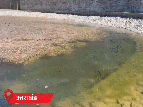 मध्यप्रदेश- सर्दी से 2 मौतें, राजस्थान में कोल्ड वेव:उत्तराखंड में झील जमी, बद्रीनाथ में बर्फबारी; हिमाचल के शिमला में टेंपरेचर 5°C पहुंचा- INA NEWS