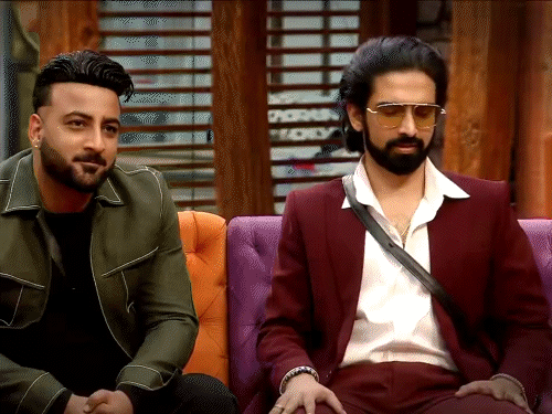 बिग बॉस में सलमान खान का गुस्सा: अमाल मलिक पर क्यों बरसे 'भाईजान'? Salman Khan Scolds Big Boss Contestant news image