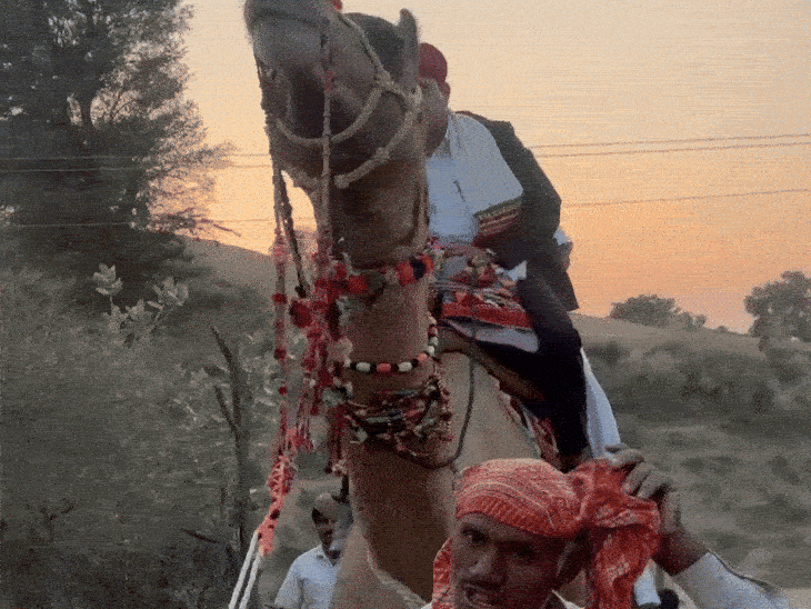 SDM rides camel to reach voter for Sir | SIR के लिए ऊंट पर चढ़कर वोटर तक पहुंचे SDM: अधिकारी बोले-अनेक समाज के लोग धोरों पर रहते है, शुद्धिकरण से कोई वंचित नहीं रहे – Barmer News