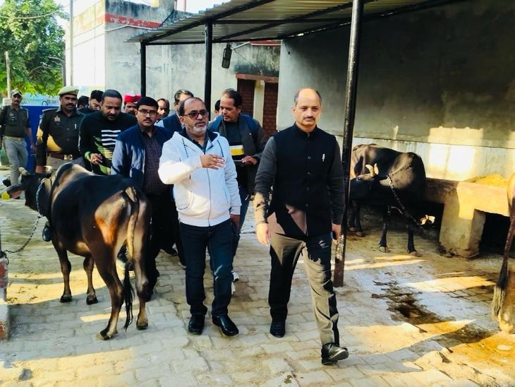 DM inspected cow shelter and night shelter in Gursahaiganj.