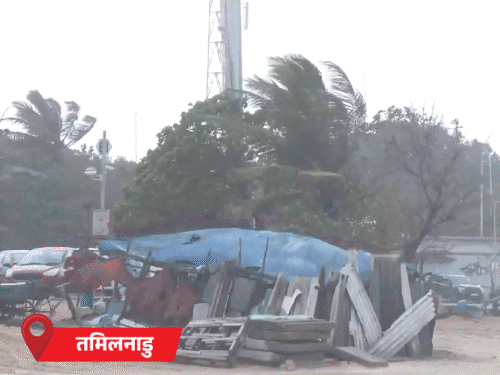 राष्ट्रीय अलर्ट: दितवाह चक्रवात ने तमिलनाडु में ढाया कहर, जानें नुकसान Tamil Nadu Cyclone Ditwah Devastation news image