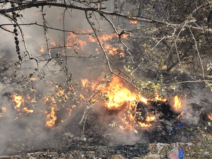 A bush fire broke out in the Pushkar Valley, and the team extinguished ...