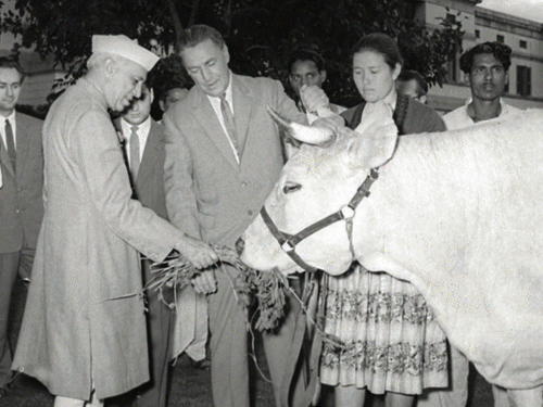 रूसी लीडर को देखने आए थे 2 लाख लोग:रूस ने नेहरू को गाय गिफ्ट की, 20 तस्वीरों में भारत-रूस दोस्ती