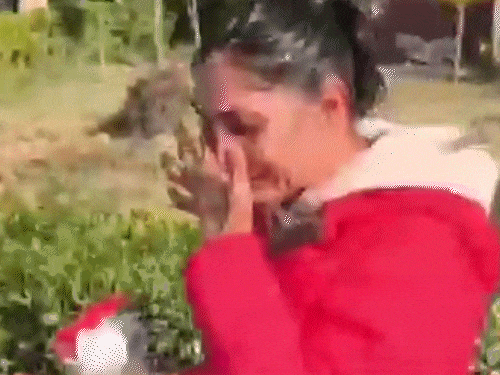 विनेश फोगाट ने कुश्ती महासंघ को कहा ‘गुंडा-बदमाश’: अंतरराष्ट्रीय पहलवान के समर्थन में आईं सामने; उन्हें हिसार में चैंपियनशिप खेलने से रोका गया – हांसी न्यूज