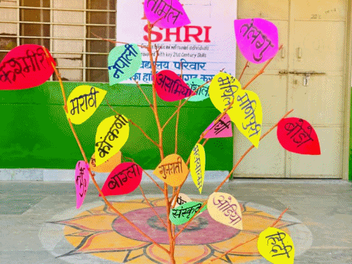 Indian Language Festival organized at PM Shri Vidyalaya Raholi