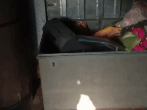 नारनौल में घर से कैश-जेवर चोरी:ताले तोड़कर अंदर घुसे चोर, डीवीआर भी ले भागे; दिल्ली में रहता है परिवार- INA NEWS