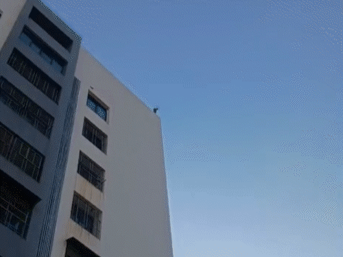 मां की डांट से नाराज बच्ची 15वीं मंजिल पर चढ़ी:  बाउंड्री वॉल पर चढ़कर कहा- मां ने मरने को कहा था, सूरत में फायर ब्रिगेड ने बचाया