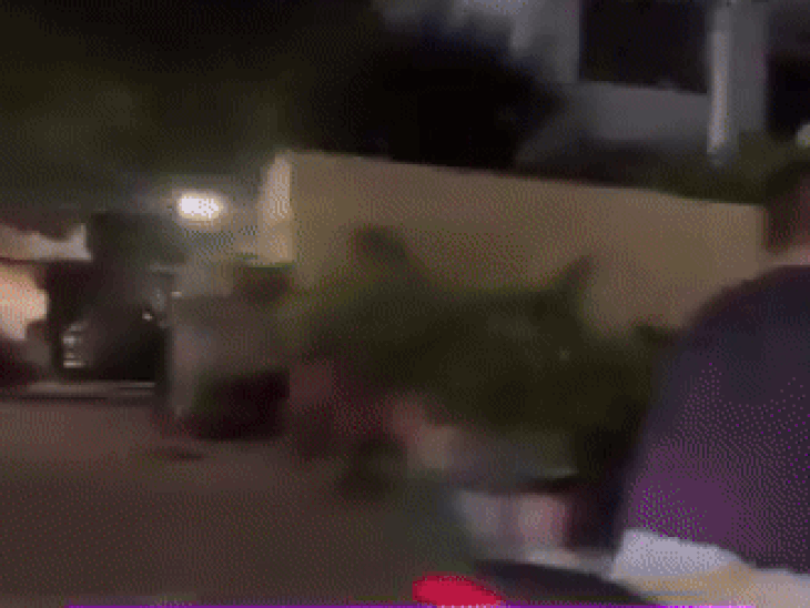 Sohail Khan apologizes after controversy over his driving without helmet and abusing common man | सोहेल खान ने विवाद के बाद मांगी माफी: बिना हेलमेट बाइक चलाते हुए वीडियो बनाने वाले शख्स को गाली दी थी, अब माफीनामा जारी कर दी सफाई