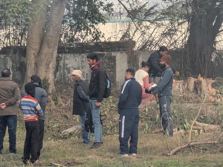 Fine imposed for illegal felling of banned trees in Rania