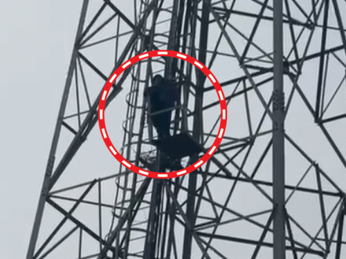 A young man climbed a tower demanding marriage from his sister-in-law.