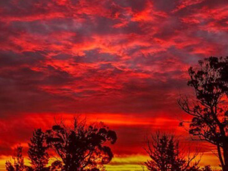 The colors of the season bloom in the sky