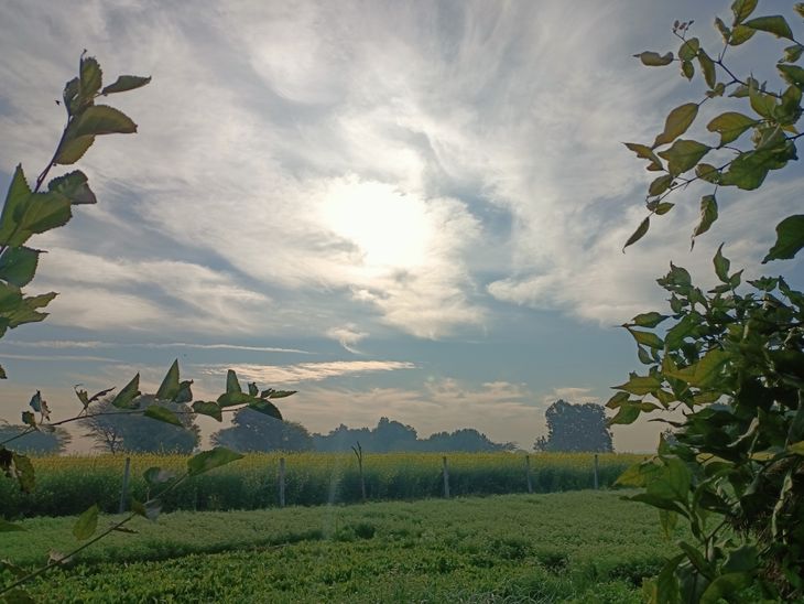 कोटपूतली बहरोड में सुबह से छाए बादल:  पश्चिमी विक्षोभ सक्रिय होने से तापमान में गिरावट, किसानों को बारिश की उम्मीद – Kotputli-Behror News