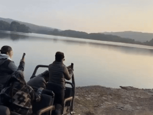 Badminton star Saina Nehwal went on a tiger safari in Ranthambore | रणथंभौर की वादियों में बैडमिंटन स्टार साइना नेहवाल: जोन-3 में बाघिन रिद्धि के शावकों को देखकर हुई रोमांचित, चाय पीते हुए वीडियो शेयर किया – Sawai Madhopur News