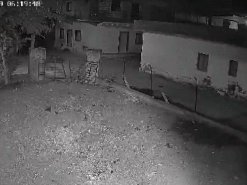 हरियाणा में भूकंप के झटके, 3.3 तीव्रता मापी गई: राष्ट्रीय केंद्र का अपडेट Haryana Experiences Mild Earthquake news image