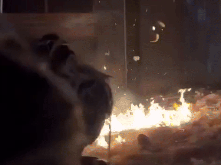 प्रभास की फिल्म राजा साब की स्क्रीनिंग में लगी आग:थिएटर में आरती करने लगे फैंस, थाली गिरने से हुआ हादसा, गमछे से आग बुझाते दिखे दर्शक