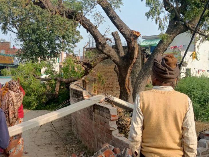 UP Tree Falls on Power Line, Pole Breaks; Electricity Supply Disrupted