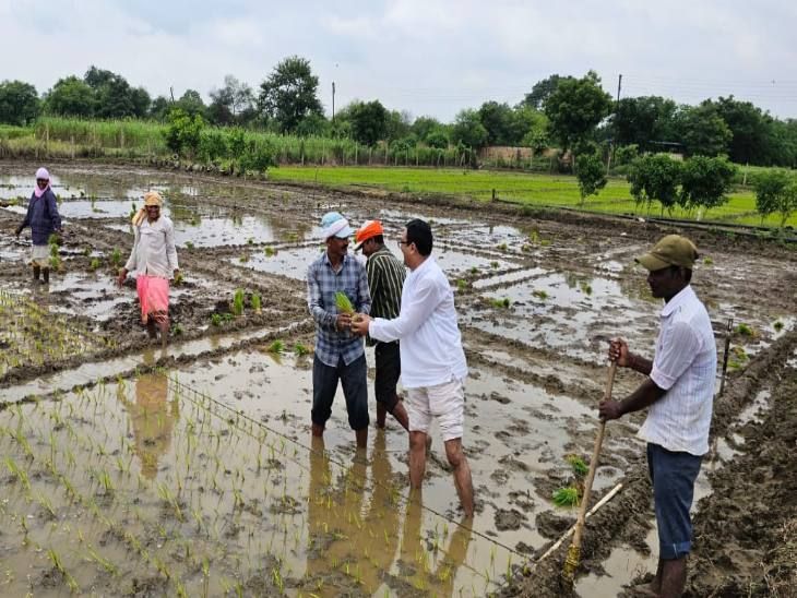 गौमूत्र, नीम-सीताफल पत्ते से बनाया ‘फसल अमृत’:  डॉ. अखिल जैन ने बनाया फसलों की बीमारी रोकने फॉर्मूला, 12 राज्यों के 5 लाख किसानों को दे चुके ट्रेनिंग – Chhattisgarh News