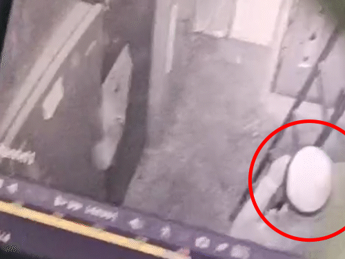 हिसार में बैंक चोरी के 3 आरोपी गिरफ्तार:  दीवार तोड़कर घुसे, तिजोरी काटकर 27.92 लाख रुपए चुराए, वारदात के बाद की थी पार्टी – Hisar News