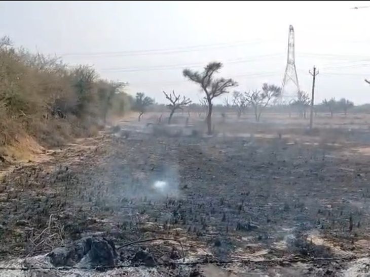 Didwana Fields Fire: Fodder, Fencing, Dry Wood Burnt