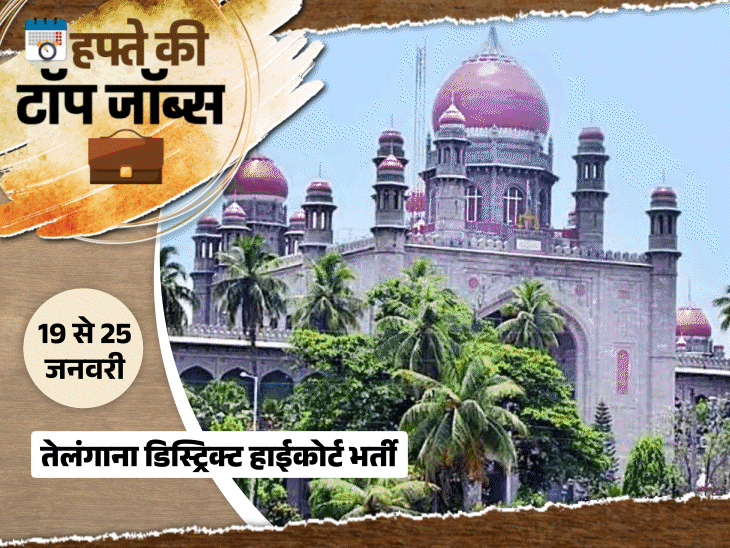 हफ्ते की टॉप जॉब्स:  बिहार में इंजीनियर के 2809 पदों पर भर्ती, एमपी में 1120 वैकेंसी, इस हफ्ते निकलीं 9 हजार से ज्यादा नौकरियां