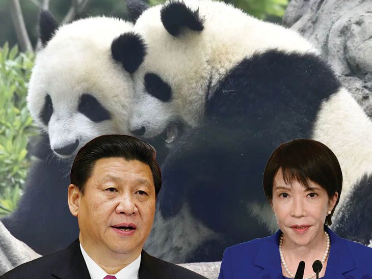 चीन ने जापान से वापस मांगे अपने जुड़वा पांडा:आज आखिरी बार देखने पहुंचे हजारों लोग; 50 साल बाद बिना पांडा के रह जाएगा जापान